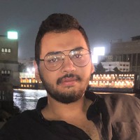 Mohamed Abdel-Mohsen