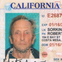 robert sorkin