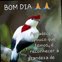 Sérgio Souza Souza