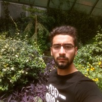 Ahmet Keleş