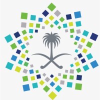 Modhi M Alharbi