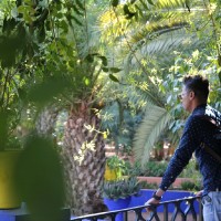 Joseph Nour