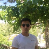 Onur Başpınar