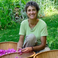 Deb Soule