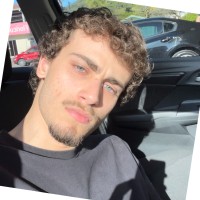 Gustavo Palandi
