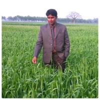 Abdullah Ammar