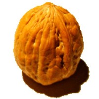 Rubén Caro
