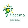 Fundación FLACEMA
