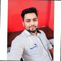 Anmol Raut