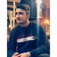 Seyed Saman Arshi
