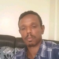 مجدي هاشم الريح