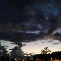 谢卫雄