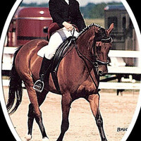 Lisa Harders