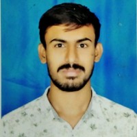 Ameerbasha Palempalli