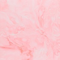 P I N K K ds