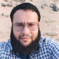 Syed Shahbaz Hussain