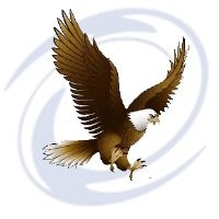 eagle-i (india) Telecom & Security Solution Pvt. Ltd.