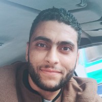 Mahmoud Ashour