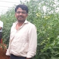 Gurumurthy N