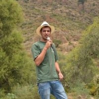 Stefano Archidiacono