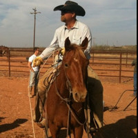 Casey McNeely
