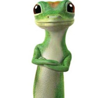 Geico Lizard