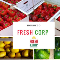 FRESH CORP MOROCCO