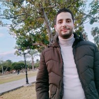 Haitham Abdel Hamid