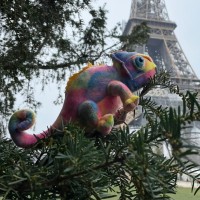 Kimi (he/she/him/her)