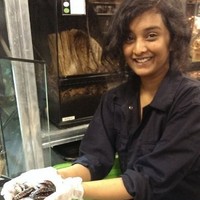 Amala Medikepura Anil