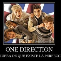 directioner naye