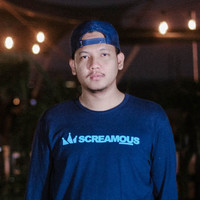 Dwiki Aries Saputra