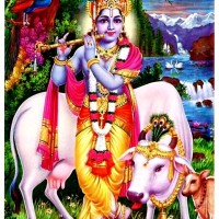 Bhuban Das