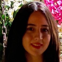Dina Amin