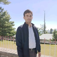 Muhammad Waseem Arshad