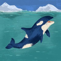 Kevin Abdiel Canche Flores