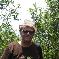 Axel Brückmann