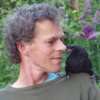 Simon Teerink