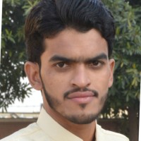MALIK ALI RAZA