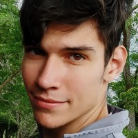 Gabriel Steinhauser Torres Rodrigues