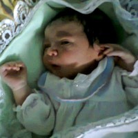 Atef Zglol