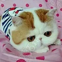 高希霸