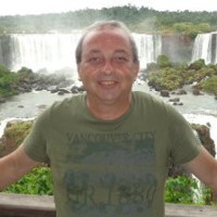 Vicente Gomes