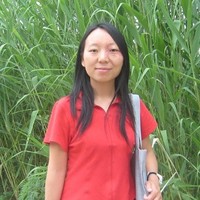 Hongwei Lee