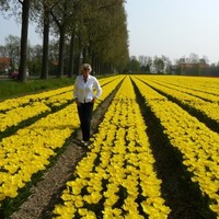 Hermien Roddenhof