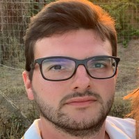 Marco Begozzi