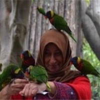 Shamsa Rafay