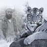 فرج البشير