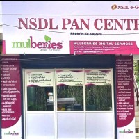 Mulberries Digital Services