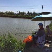 张加刚
